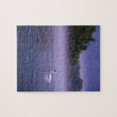 Zwaan op meer legpuzzel (Horizontaal)