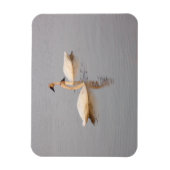 Zwaan paar flexibele foto magneet (Verticaal)