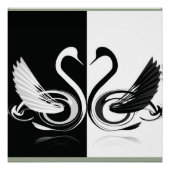 zwaan poster (Voorkant)