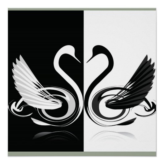 zwaan poster (Voorkant)