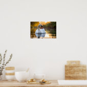 zwaan poster (Keuken)