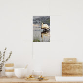 Zwaan Poster (Keuken)