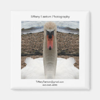 Zwaan Promo Stuk Magneet