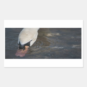 Zwaan Stickers
