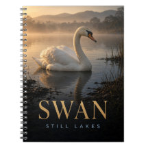 Zwaan Stille Meren Wildlife DIER