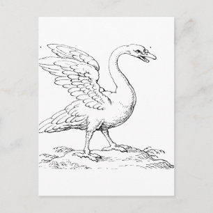Zwaan Symbool van Liefde en Trouw Kunst Briefkaart