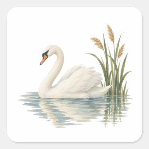 Zwaan tussen riet vierkante sticker