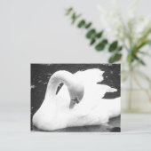Zwaan van het meer - zwart en wit briefkaart (Staand voorkant)