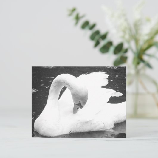 Zwaan van het meer - zwart en wit briefkaart (Staand voorkant)