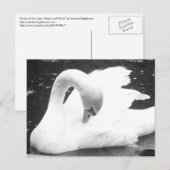 Zwaan van het meer - zwart en wit briefkaart (Voorkant / Achterkant)