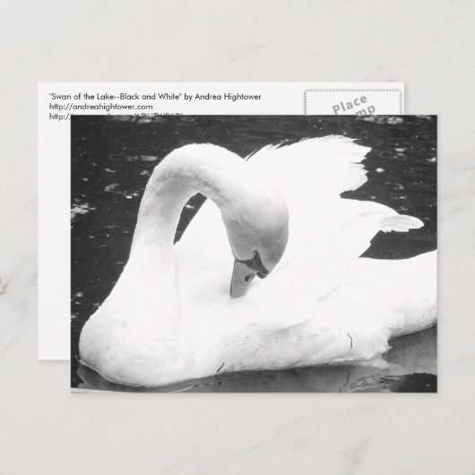 Zwaan van het meer - zwart en wit briefkaart (Voorkant / Achterkant)