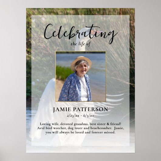 Zwaan Vogelliefhebber Viering van het Leven Foto B Poster (Voorkant)