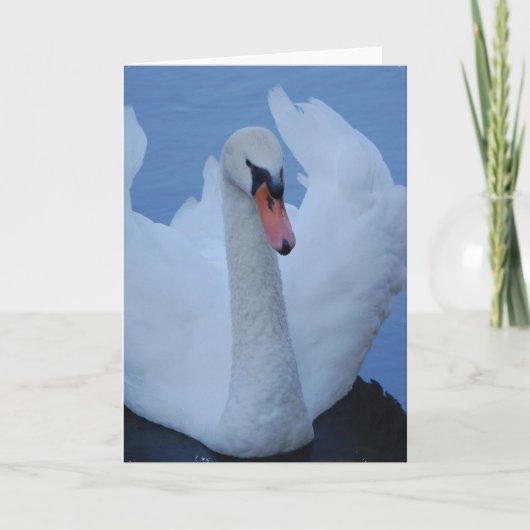 zwaan Wenskaart Kaart (Voorkant)