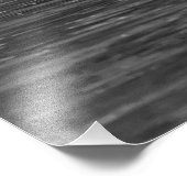 Zwaan Zwart-wit Fotografie Foto Afdruk (Hoek)