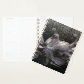 Zwaanmeer in het maanlicht planner (Display)