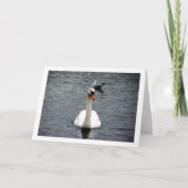 Zwaanportret Kaart (Voorkant)