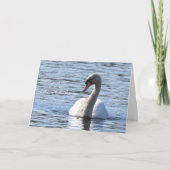 Zwaanverjaardag Kaart (Voorkant)