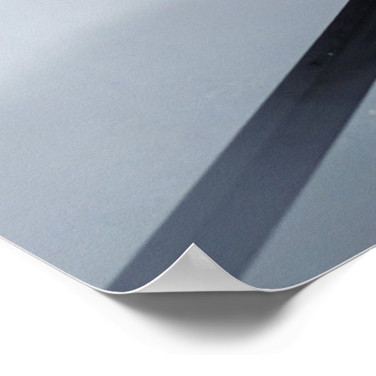 Zwaard in het water met eend poster (Hoek)