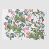 Zwaardstaart Vogelvogels bloemen papier (Voorkant)