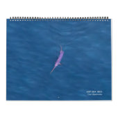 Zwaardvis Alleen Kalender 2026 (Hoes)