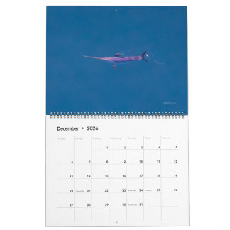 Zwaardvis Alleen Kalender 2026