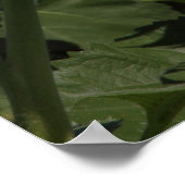 Zwaarte Poster (Hoek)