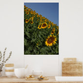 Zwaarte Poster (Keuken)