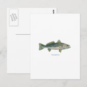 Zwakvis Briefkaart (Voorkant / Achterkant)