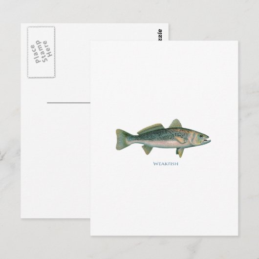 Zwakvis Briefkaart (Voorkant / Achterkant)