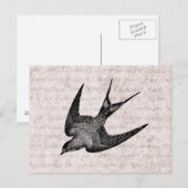  zwaluw Illustratie - Antiek vogel van 1800 Briefkaart (Voorkant / Achterkant)