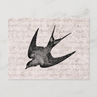 zwaluw Illustratie - Antiek vogel van 1800 Briefkaart