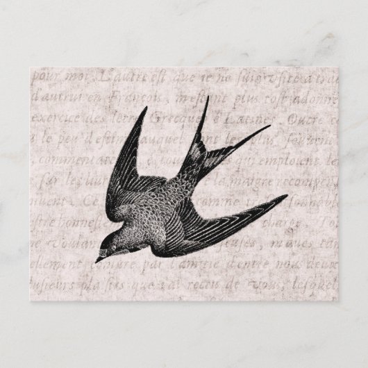  zwaluw Illustratie - Antiek vogel van 1800 Briefkaart (Voorkant)
