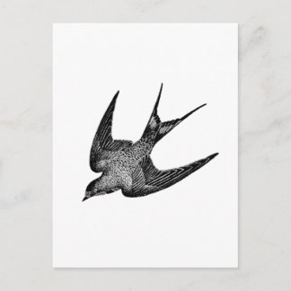 zwaluw Illustratie - Antiek vogel van 1800 Briefkaart