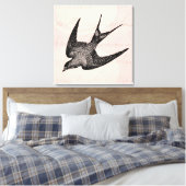 zwaluw Illustratie - Antiek vogel van 1800 Canvas Afdruk (Insitu (Slaapkamer))