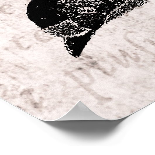  zwaluw Illustratie - Antiek vogel van 1800 Poster (Hoek)