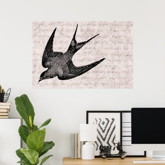  zwaluw Illustratie - Antiek vogel van 1800 Poster (Thuiskantoor)