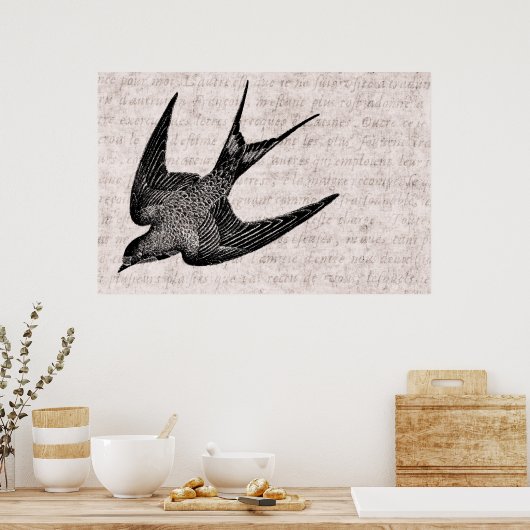  zwaluw Illustratie - Antiek vogel van 1800 Poster (Keuken)