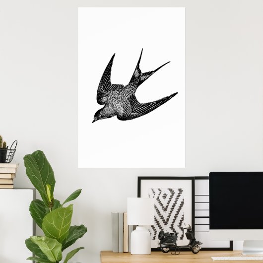  zwaluw Illustratie - Antiek vogel van 1800 Poster (Thuiskantoor)