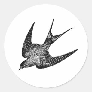  zwaluw Illustratie - Antiek vogel van 1800 Ronde Sticker