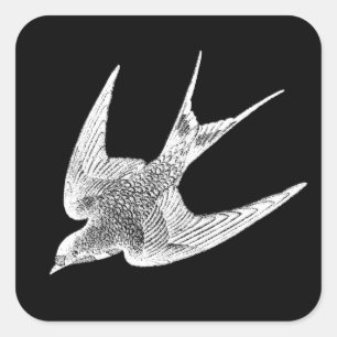  zwaluw Illustratie - Antiek vogel van 1800 Vierkante Sticker