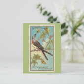 Zwaluw-staart vliegenvanger briefkaart (Staand voorkant)