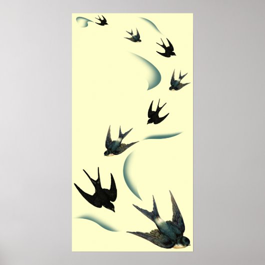  zwaluw-vogelkunst poster (Voorkant)