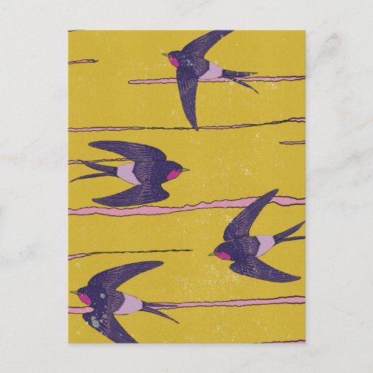 Zwaluw Vogels Briefkaart (Voorkant)