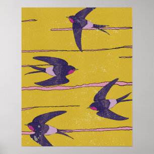 Zwaluw Vogels Poster