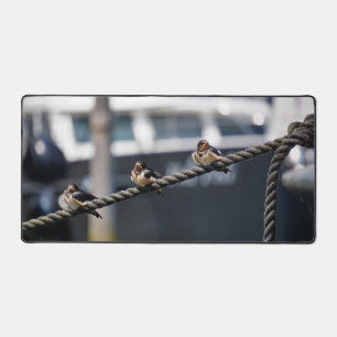 Zwaluw vogeltjes die op een lijn zitten in de have bureaumat