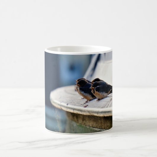Zwaluw vogeltjes die op een lijn zitten in de have koffiemok (Center)