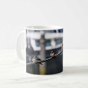 Zwaluw vogeltjes die op een lijn zitten in de have koffiemok