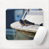 Zwaluw vogeltjes die op een lijn zitten in de have muismat (Met muis)