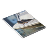 Zwaluw vogeltjes die op een lijn zitten in de have notitieblok (Schuin)