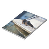 Zwaluw vogeltjes die op een lijn zitten in de have notitieblok (Linkerzijde)